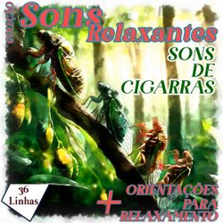 Coleção Sons Relaxantes - sons de cigarras