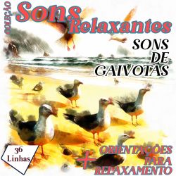 Coleção Sons Relaxantes - Sons de Gaivotas