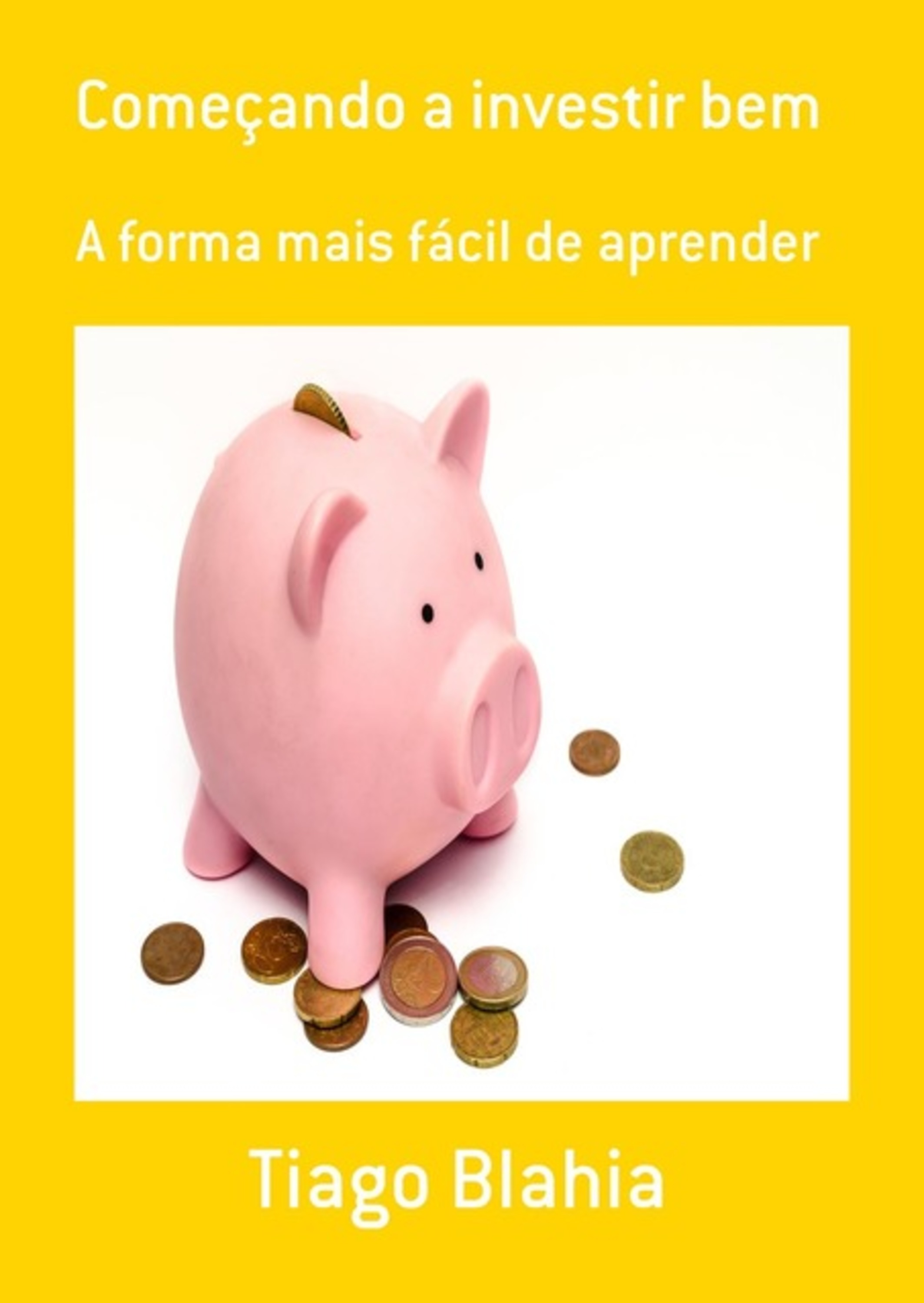 Começando A Investir Bem