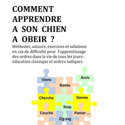 Comment apprendre à son chien à obéir ?