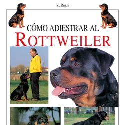 Cómo adiestrar al Rottweiler