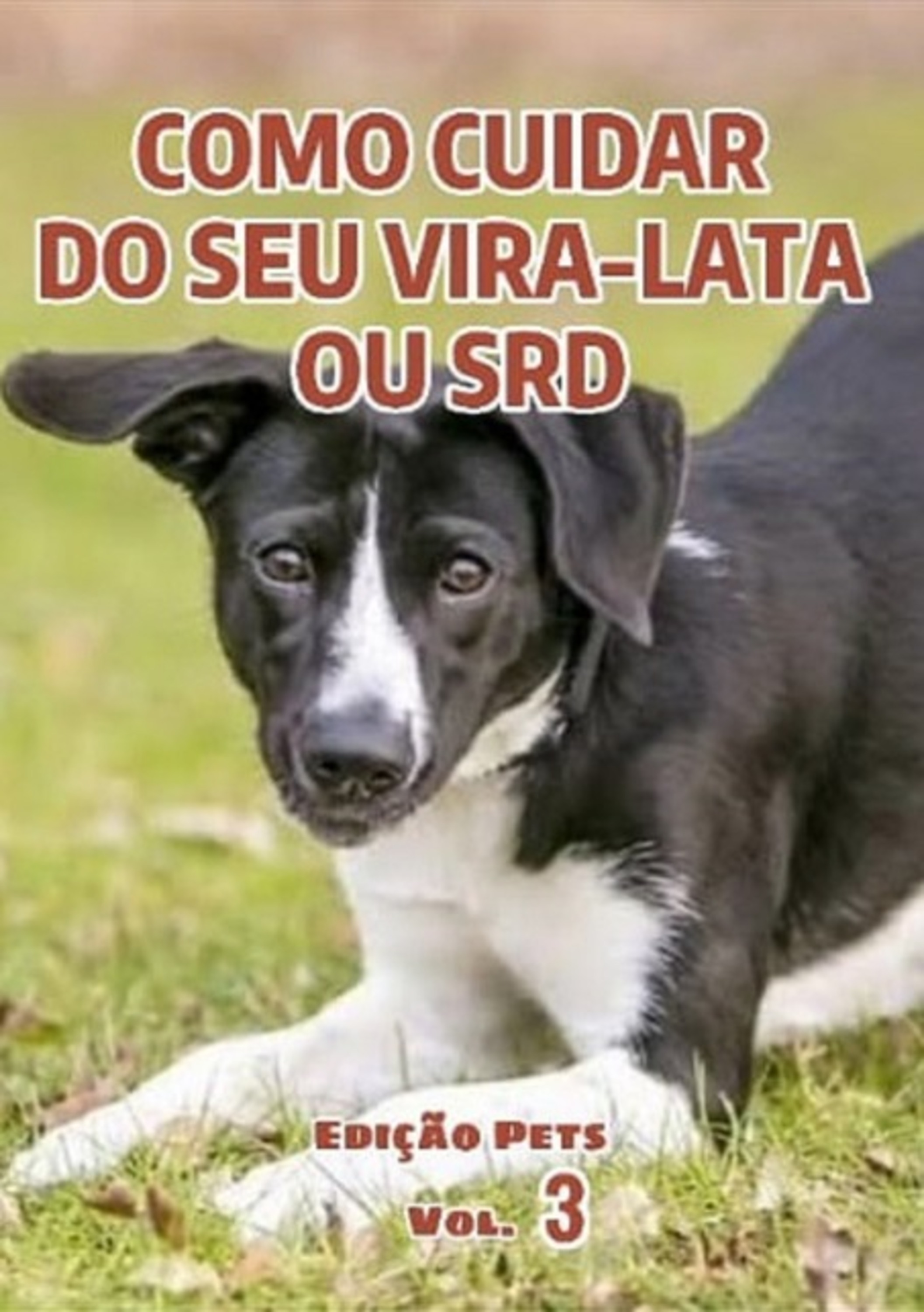 Como Cuidar Do Seu Vira-latas Ou Srd