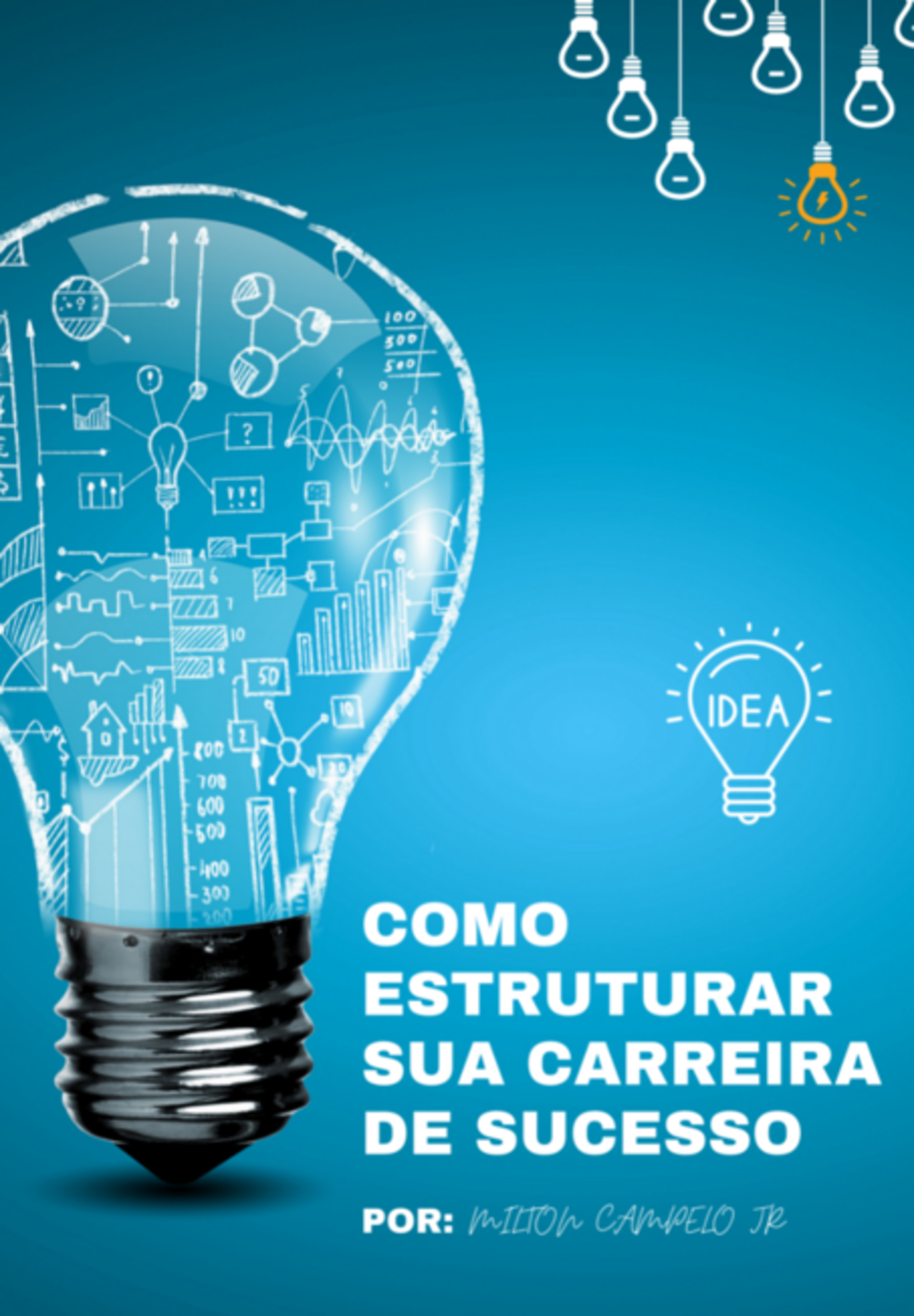 Como Estruturar Sua Carreira De Sucesso