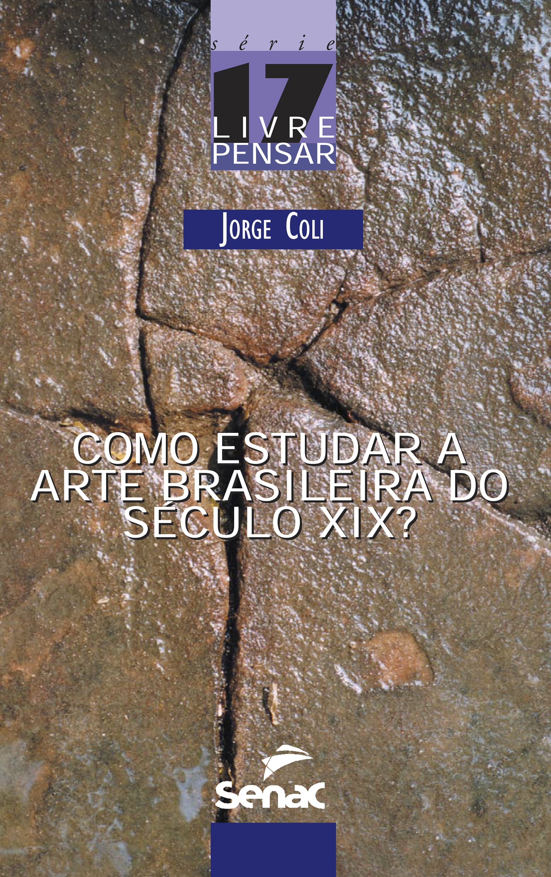 Como estudar a arte brasileira do século XIX