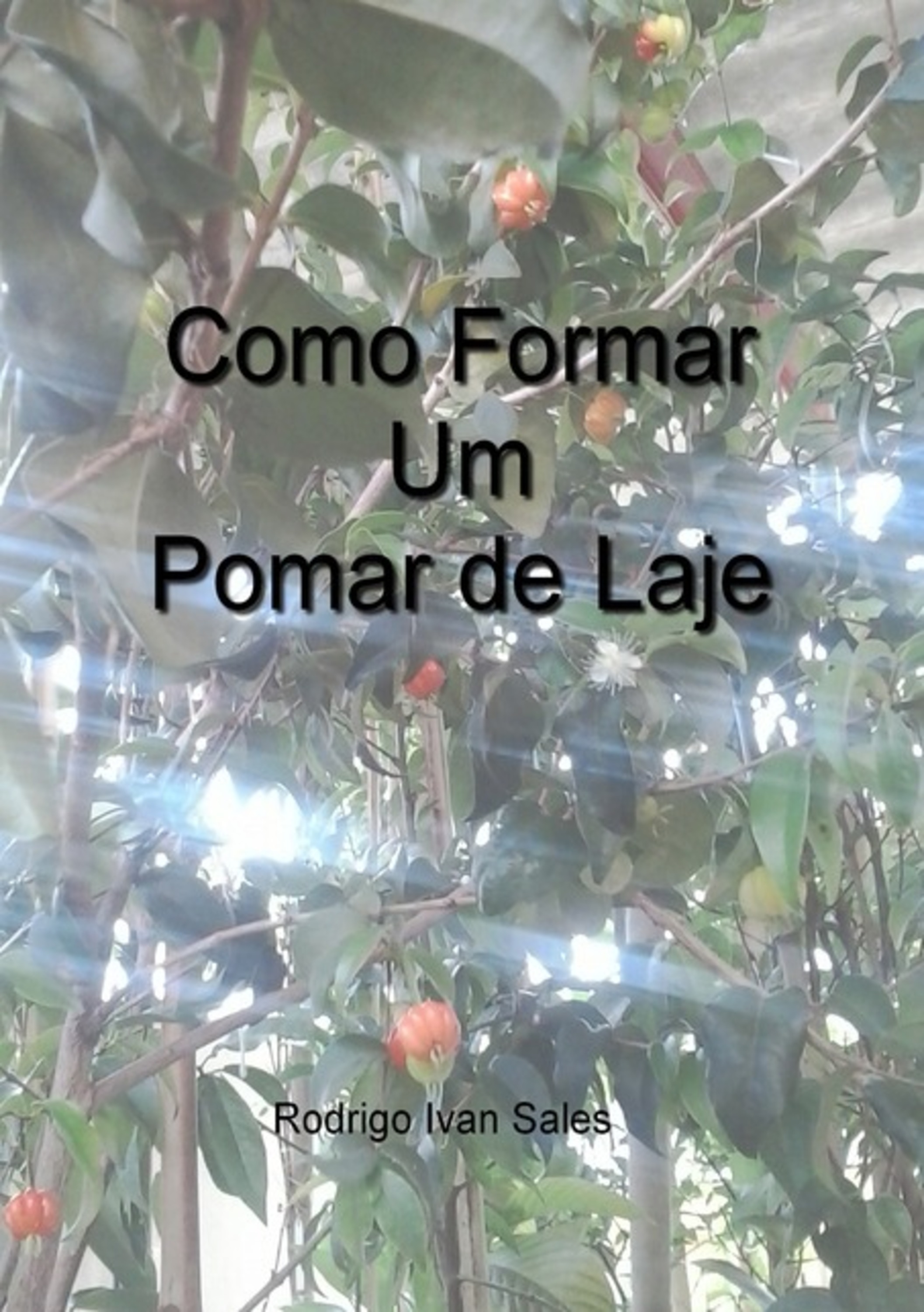 Como Formar Um Pomar De Laje