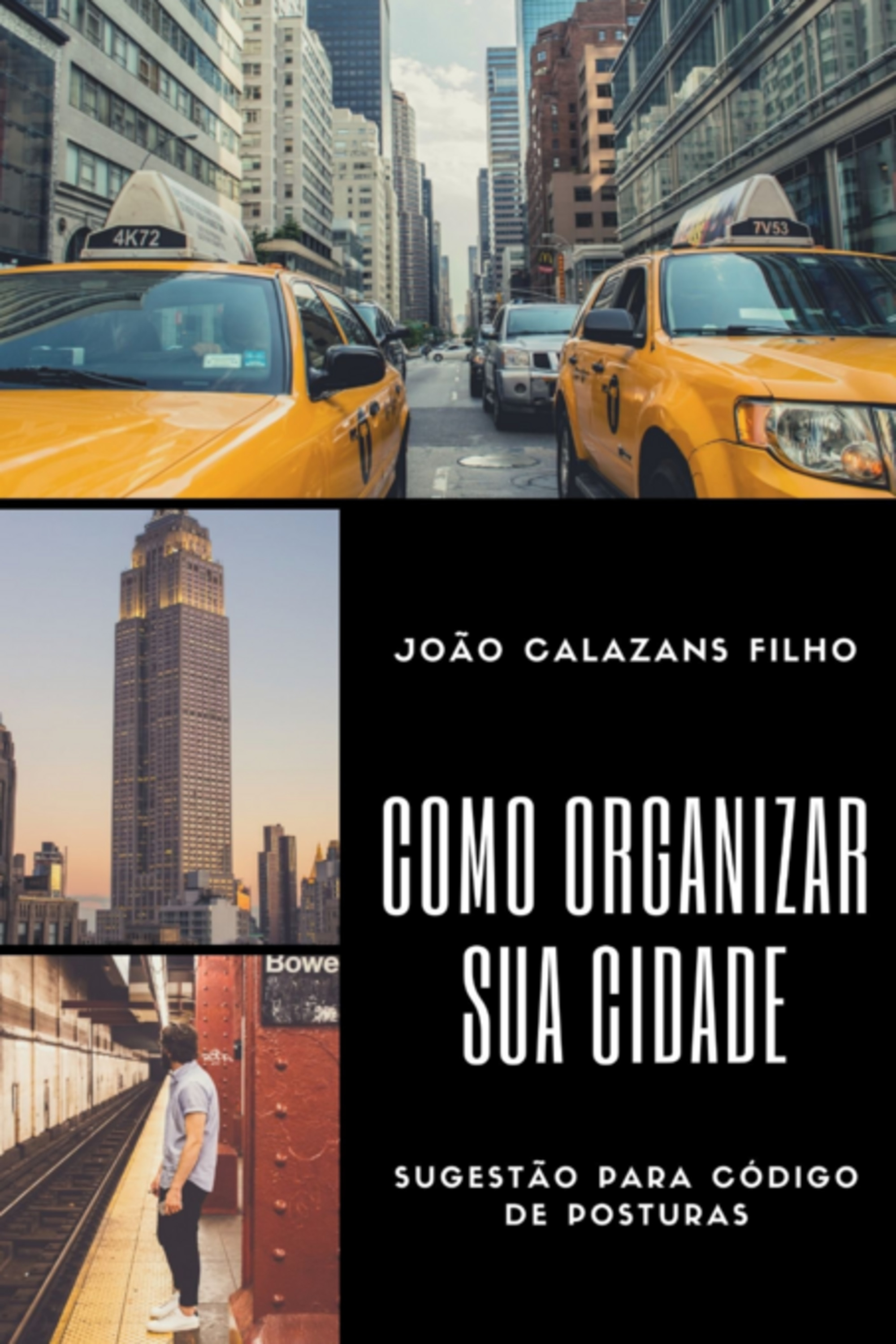 Como Organizar Sua Cidade - Sugestão Para Código De Posturas