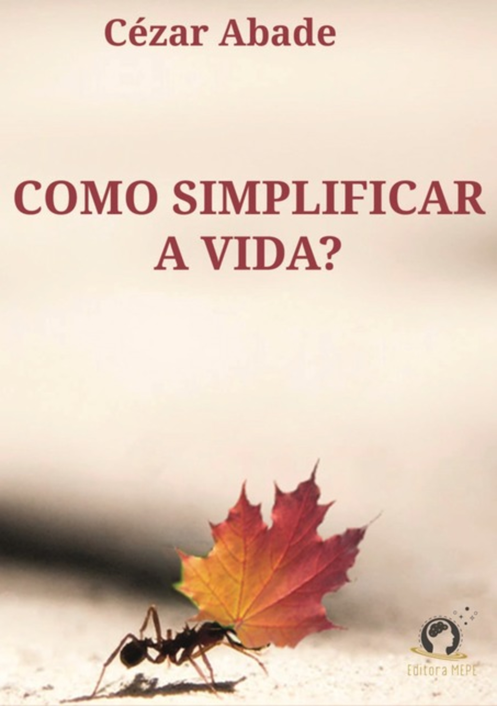 Como Simplificar A Vida