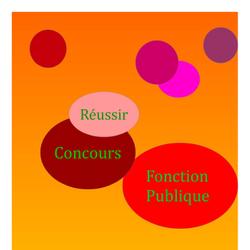 CONCOURS FONCTION PUBLIQUE*****