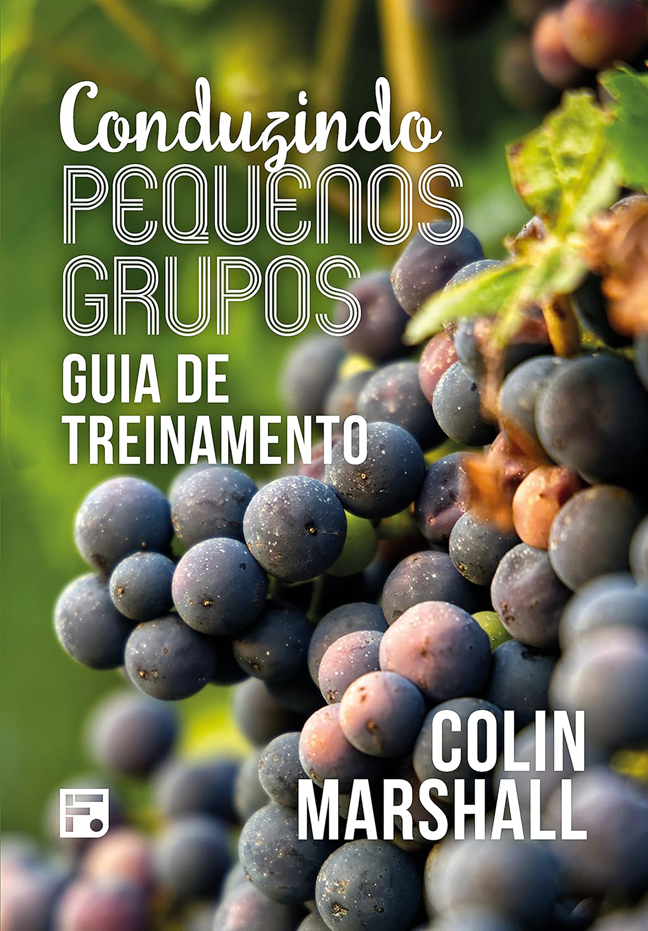 Conduzindo pequenos grupos