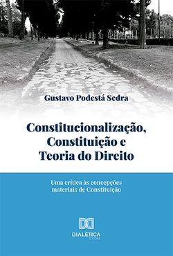 Constitucionalização, Constituição e Teoria do Direito