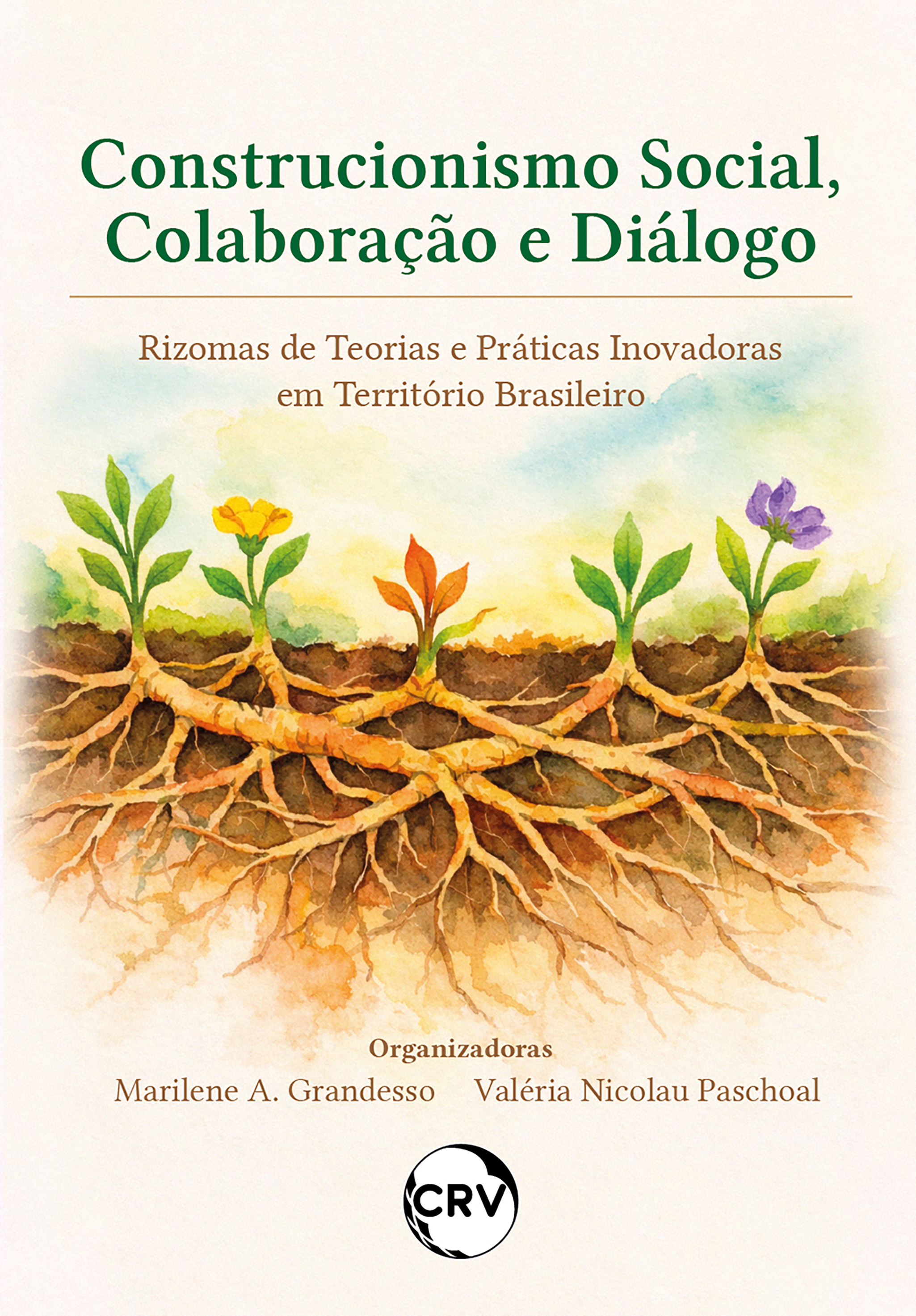 Construcionismo social, colaboração e diálogo