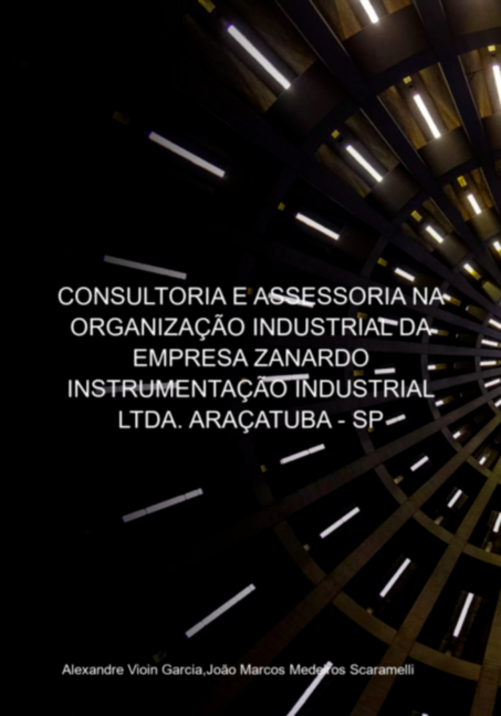 Consultoria E Assessoria Na Organização Industrial Da Empresa Zanardo Instrumentação Industrial Ltda. Araçatuba - Sp