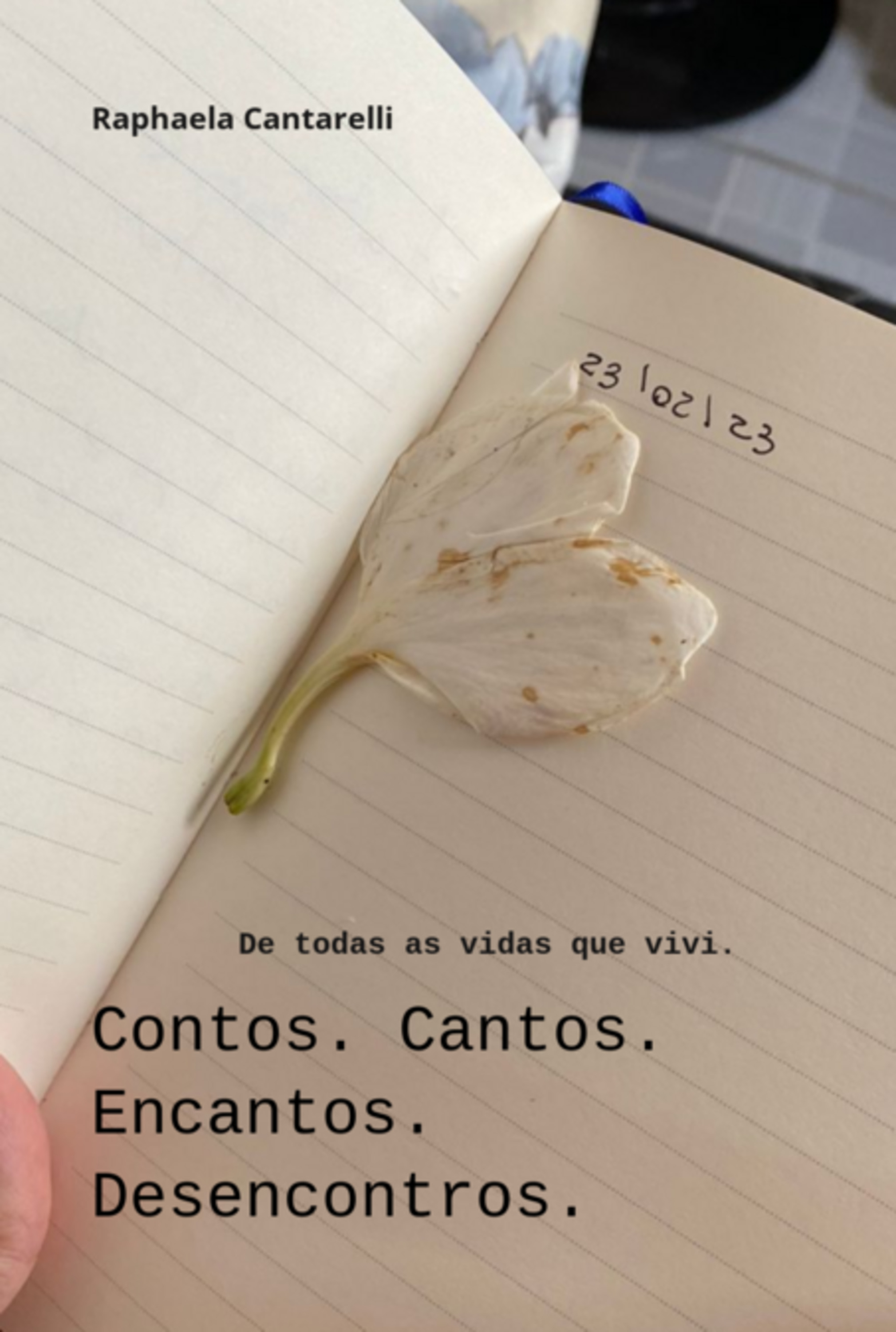 Contos. Cantos. Encantos. Desencontros.