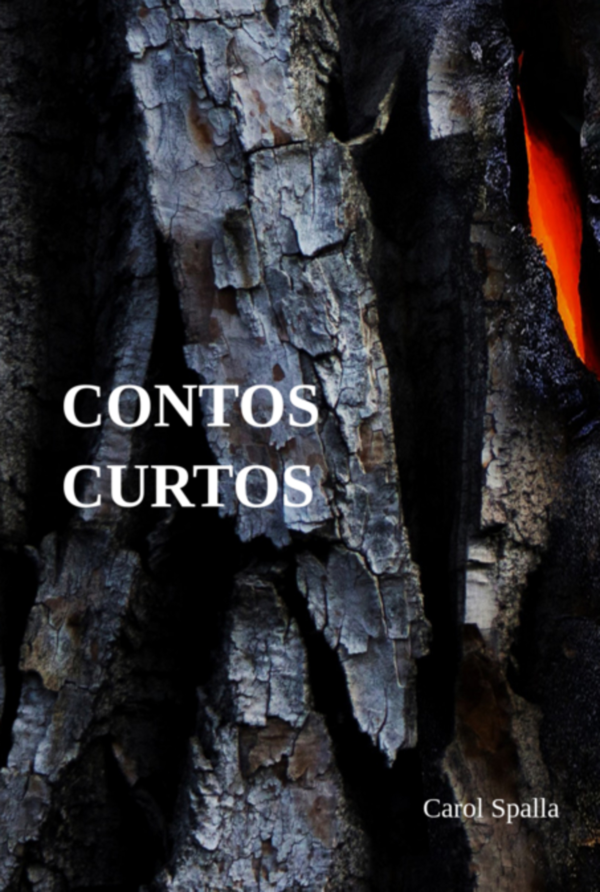 Contos Curtos