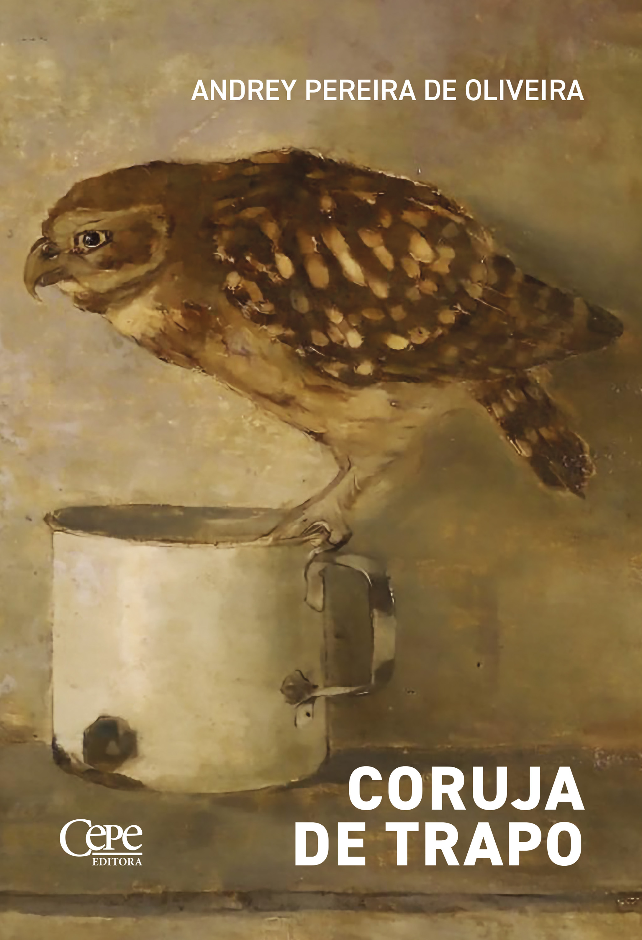 Coruja de trapo