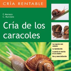 Cría de los caracoles. Las especies más comunes, la reproducción, la puesta en marcha de un criadero, uso y comercialización