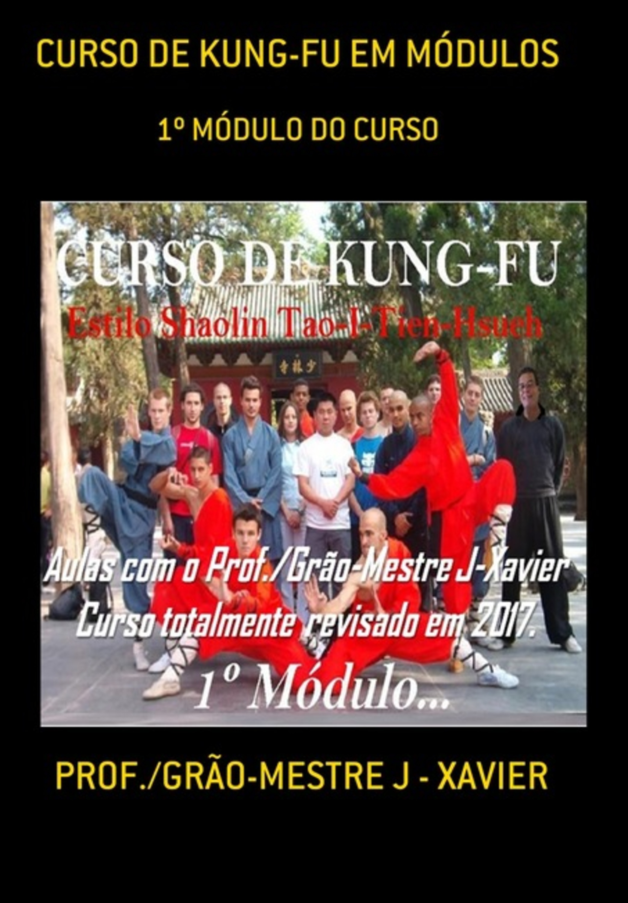 Curso De Kung-fu Em Módulos