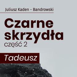 Czarne skrzydła 2 - Tadeusz