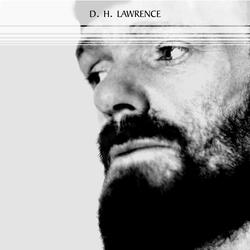 D. H. Lawrence: The Complete Novels (Women in Love, Sons and Lovers, Lady Chatterley's Lover, The Rainbow...)