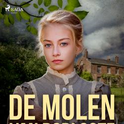 De molen van Dorlcote