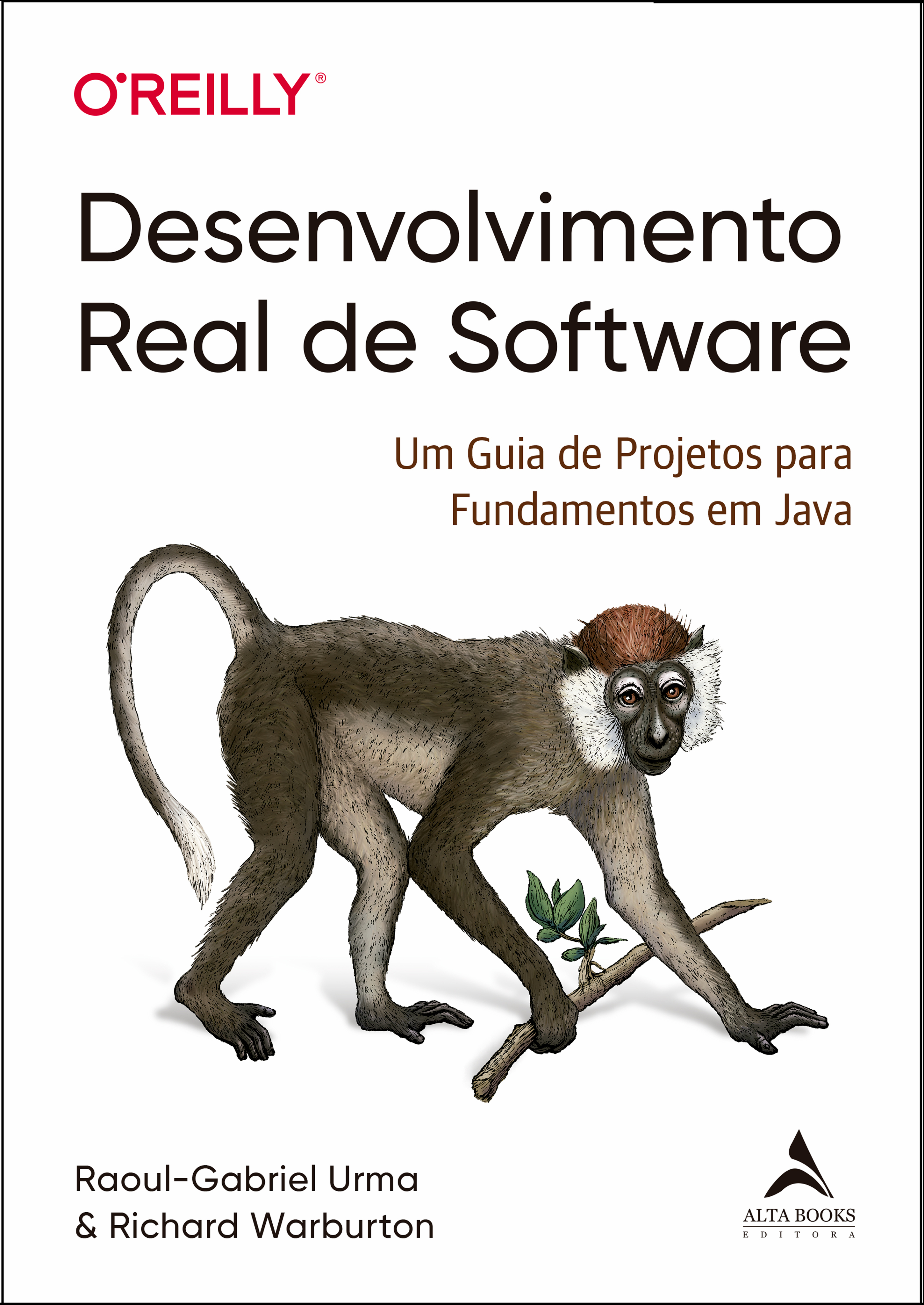 Desenvolvimento Real De Software