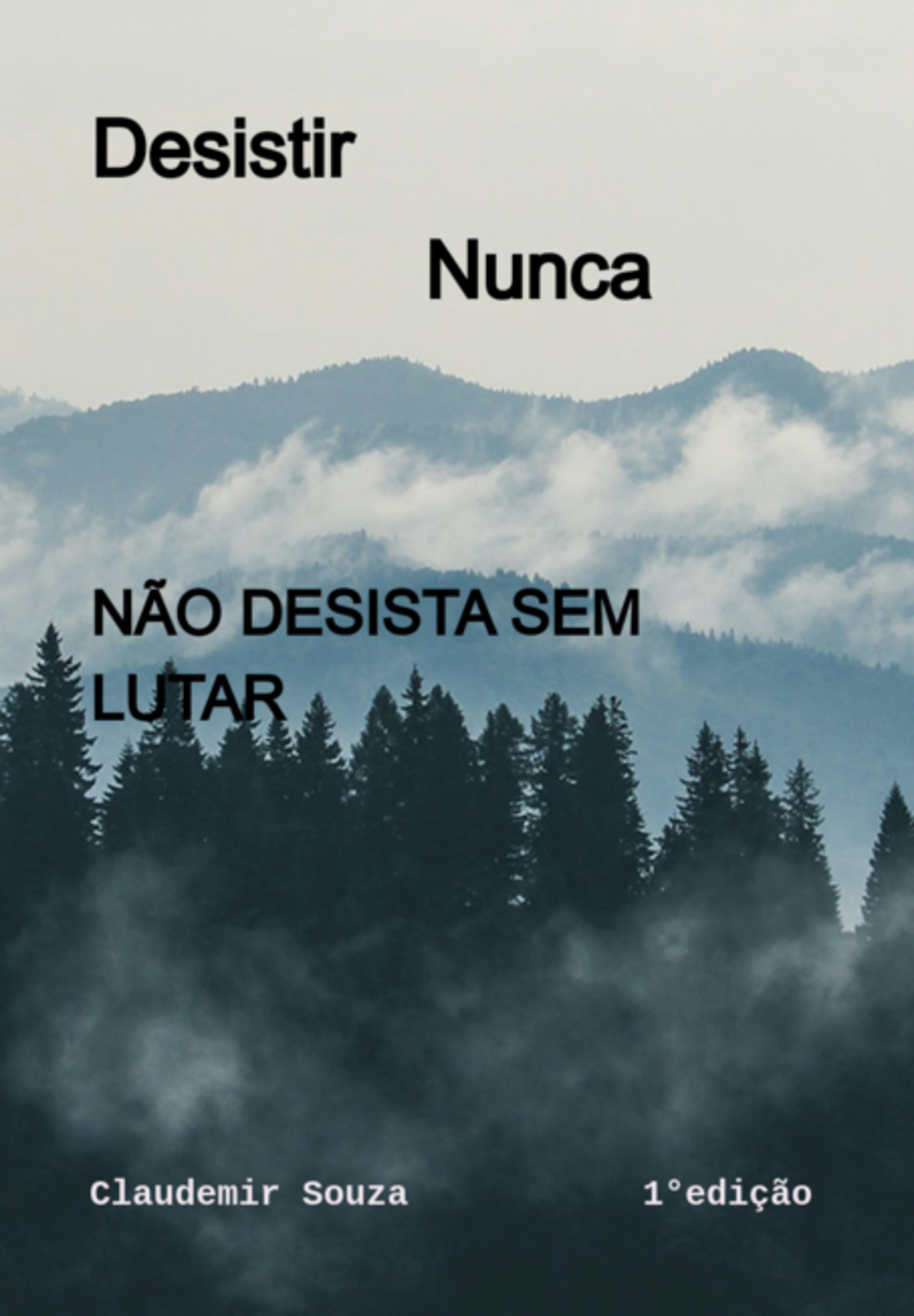 Desistir Nunca