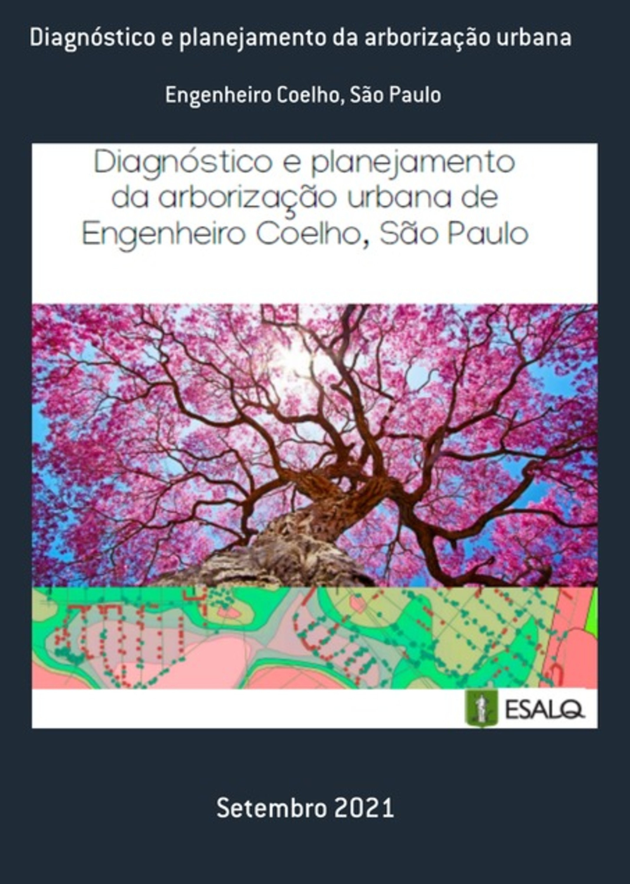 Diagnóstico E Planejamento Da Arborização Urbana