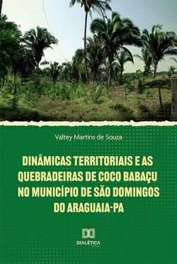 Dinâmicas territoriais e as quebradeiras de coco babaçu no Município de São Domingos do Araguaia-PA