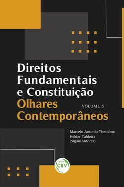 Direitos fundamentais e constituição