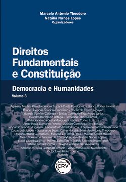 Direitos fundamentais e constituição