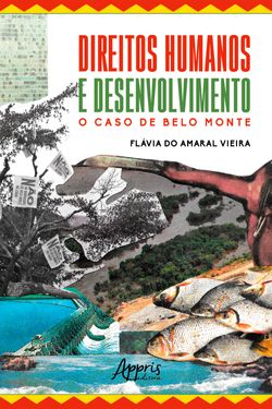 Direitos Humanos e Desenvolvimento: O Caso de Belo Monte