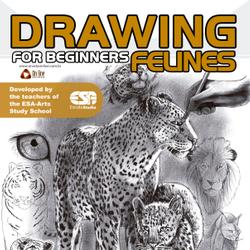 Drawing For Beginners (Felines)