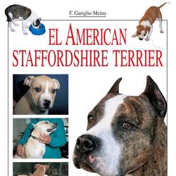 El American Staffordshire Terrier