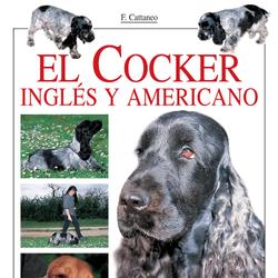 El Cocker inglés y americano