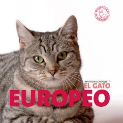 El gato Europeo