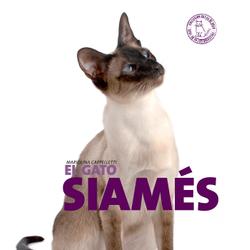 El gato siamés