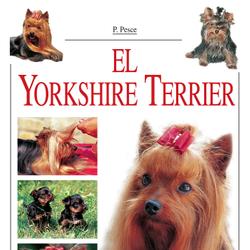 El Yorkshire Terrier