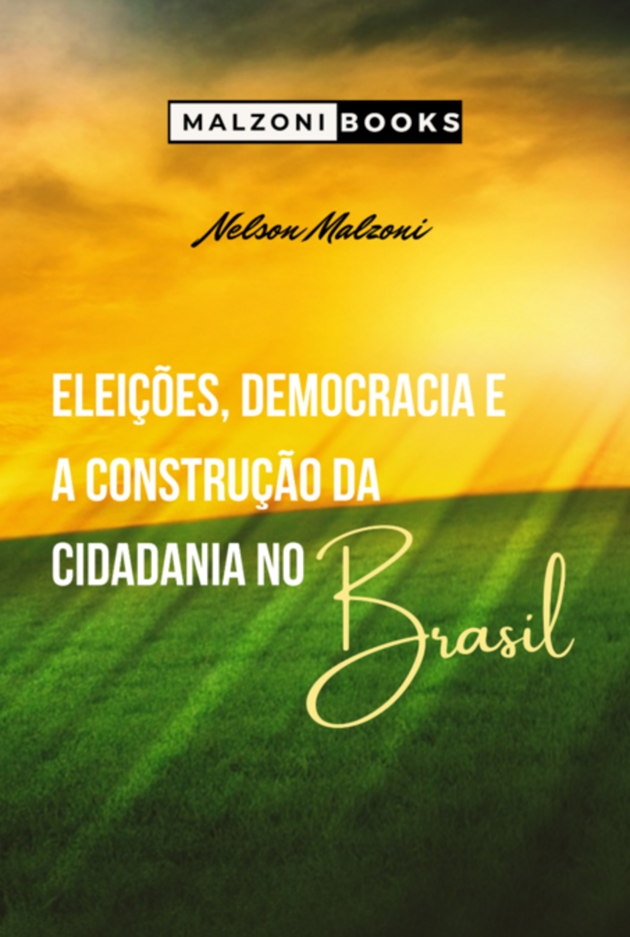 Eleições, Democracia E A Construção Da Cidadania No Brasil