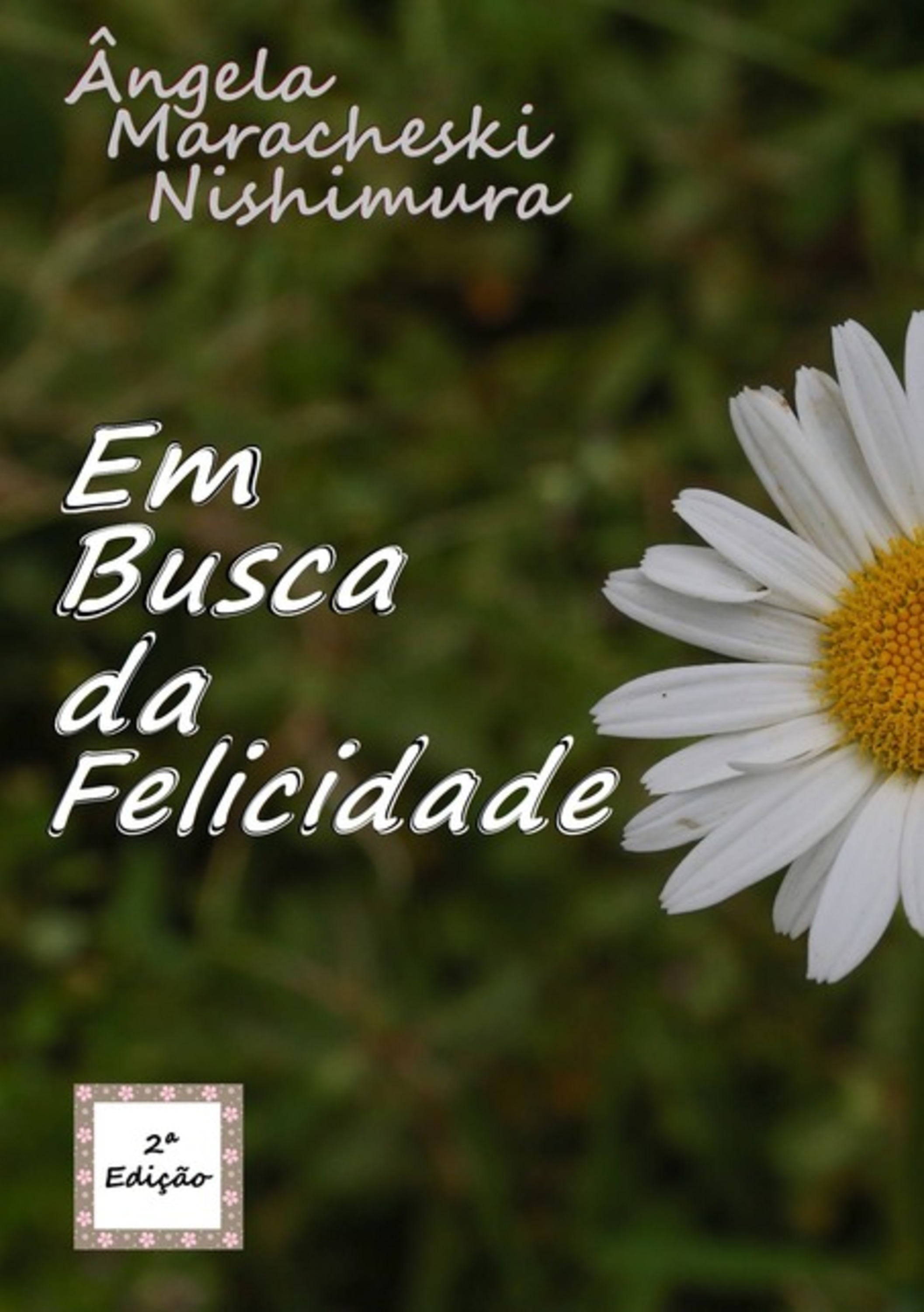 Em Busca Da Felicidade