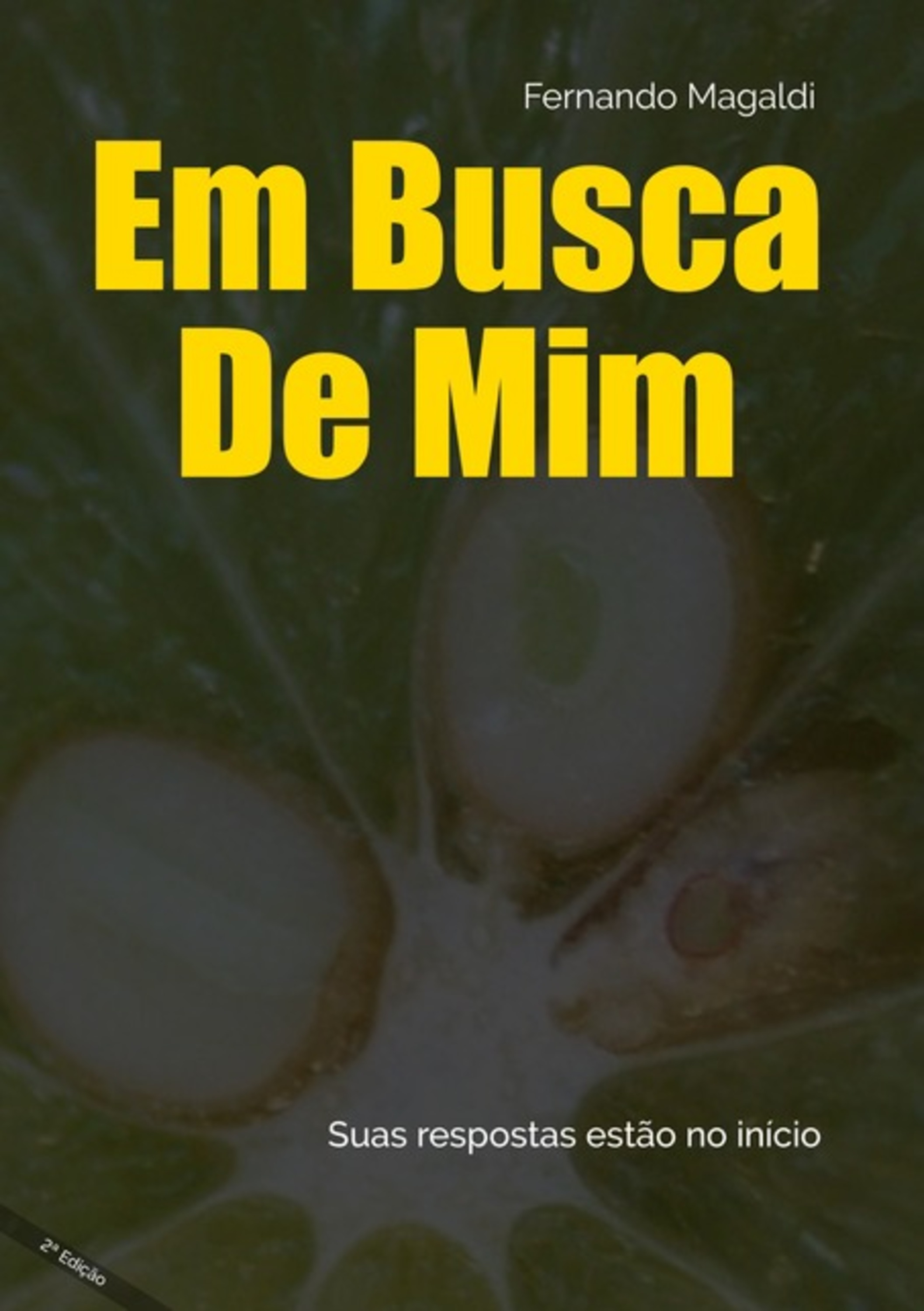 Em Busca De Mim