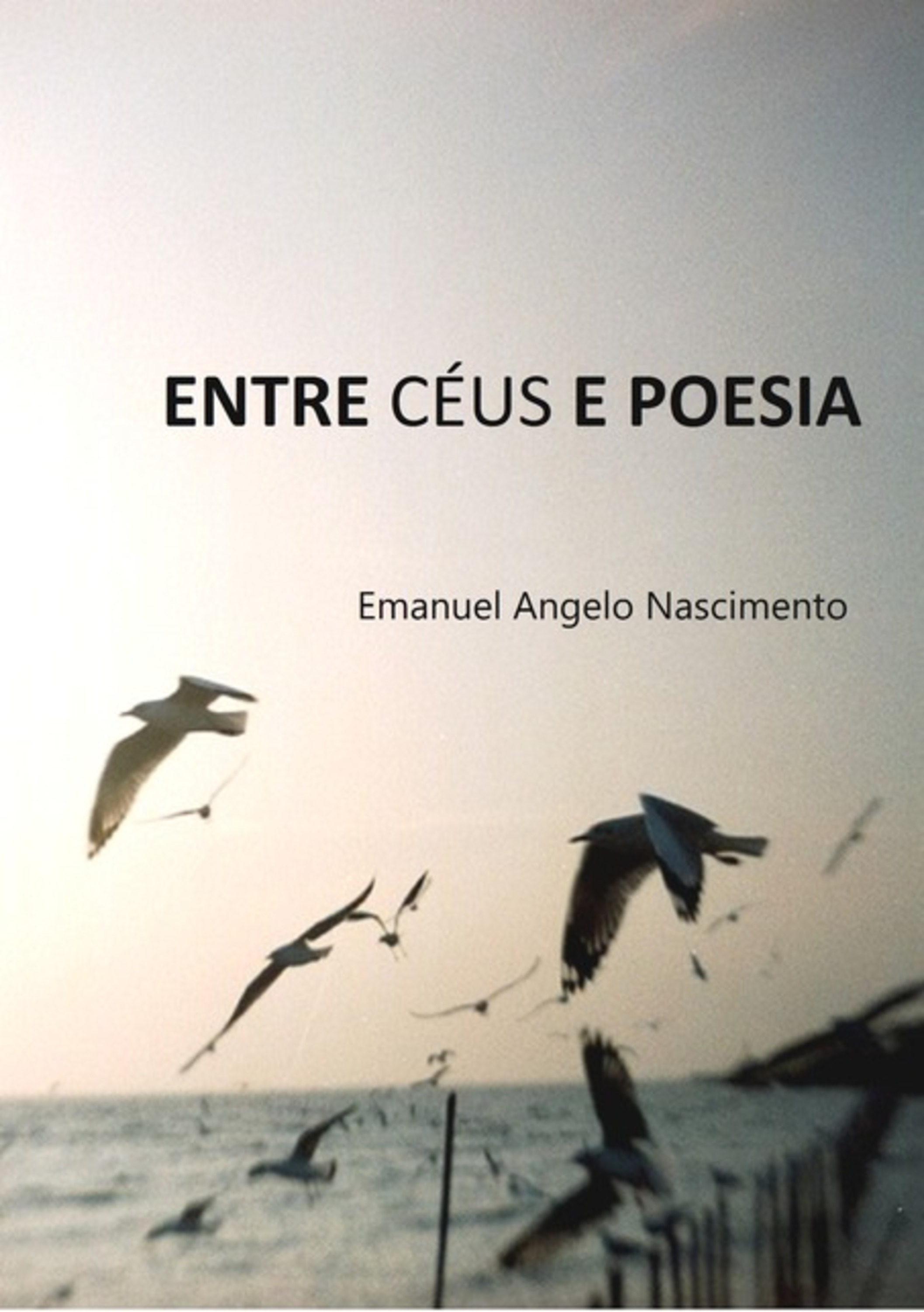 Entre Céus E Poesia