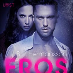 Eros – eroottinen novelli