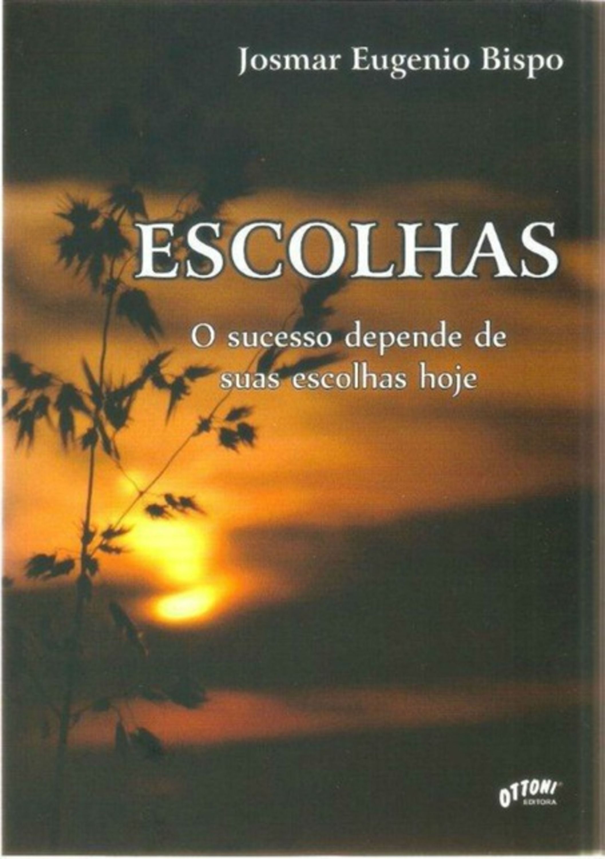 Escolhas