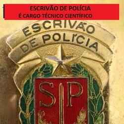 ESCRIVÃO DE POLÍCIA É CARGO TÉCNICO CIENTÍFICO