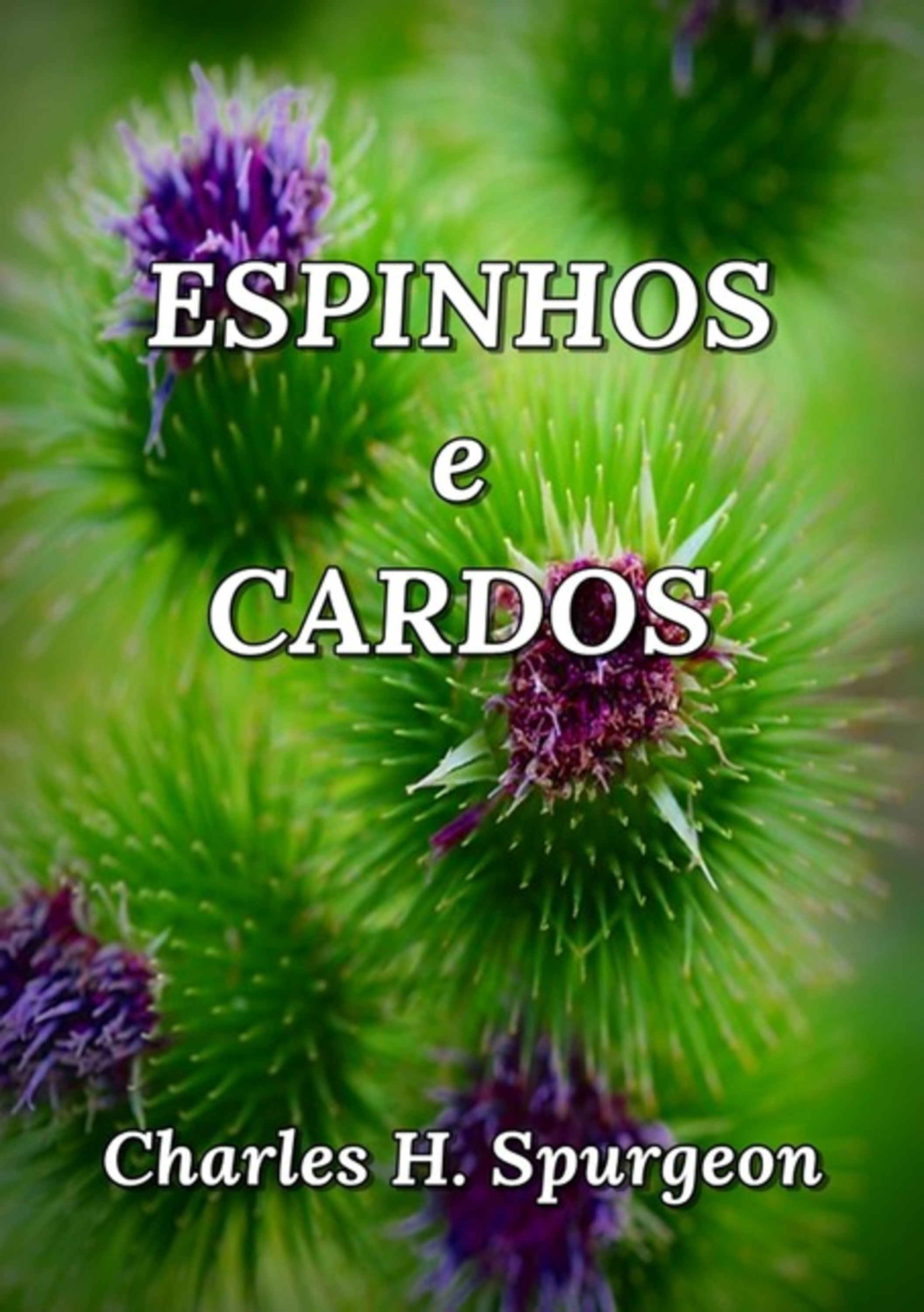 Espinhos E Cardos