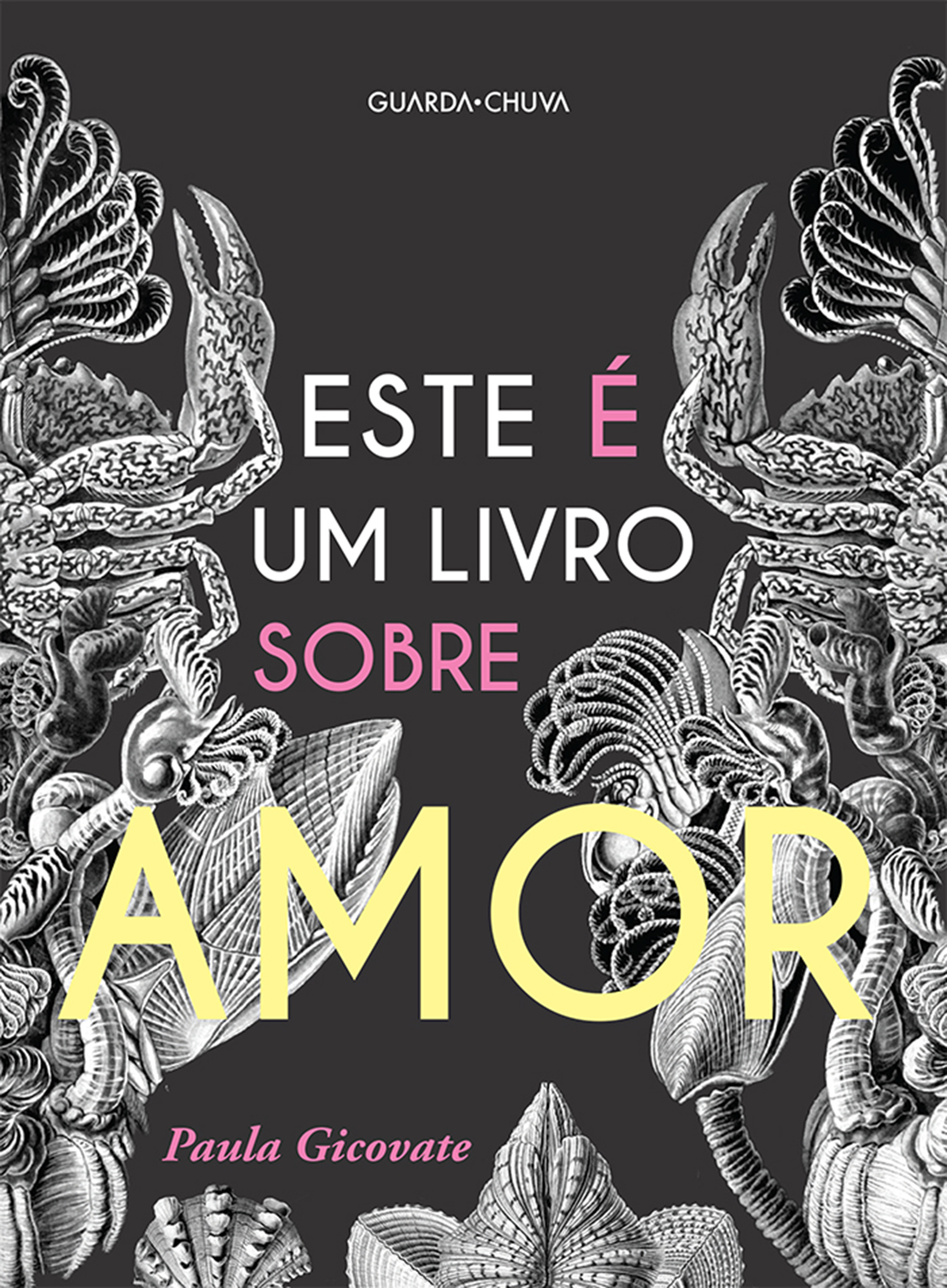 Este é um livro sobre amor