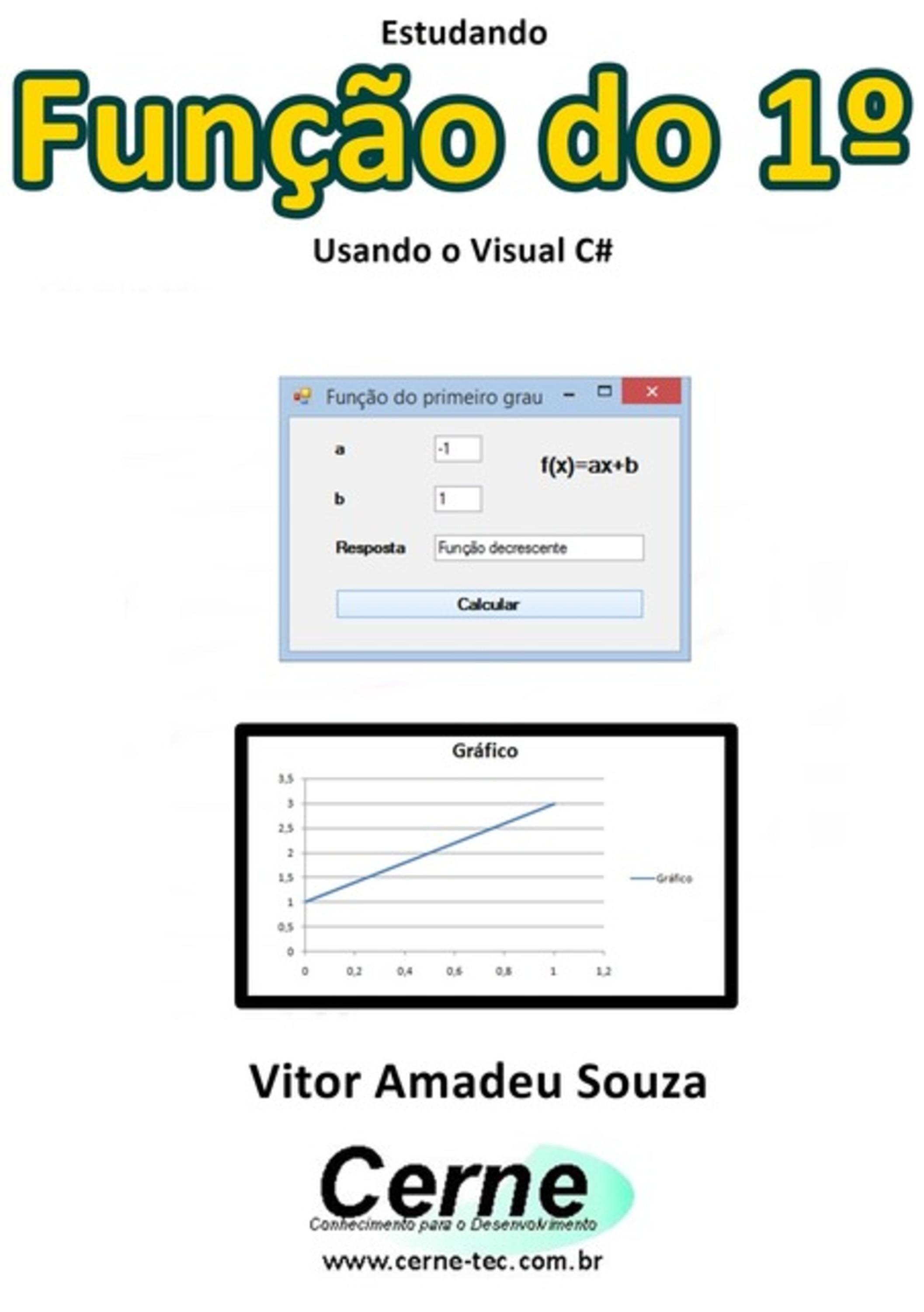 Estudando Função Do 1º Usando O Visual C#