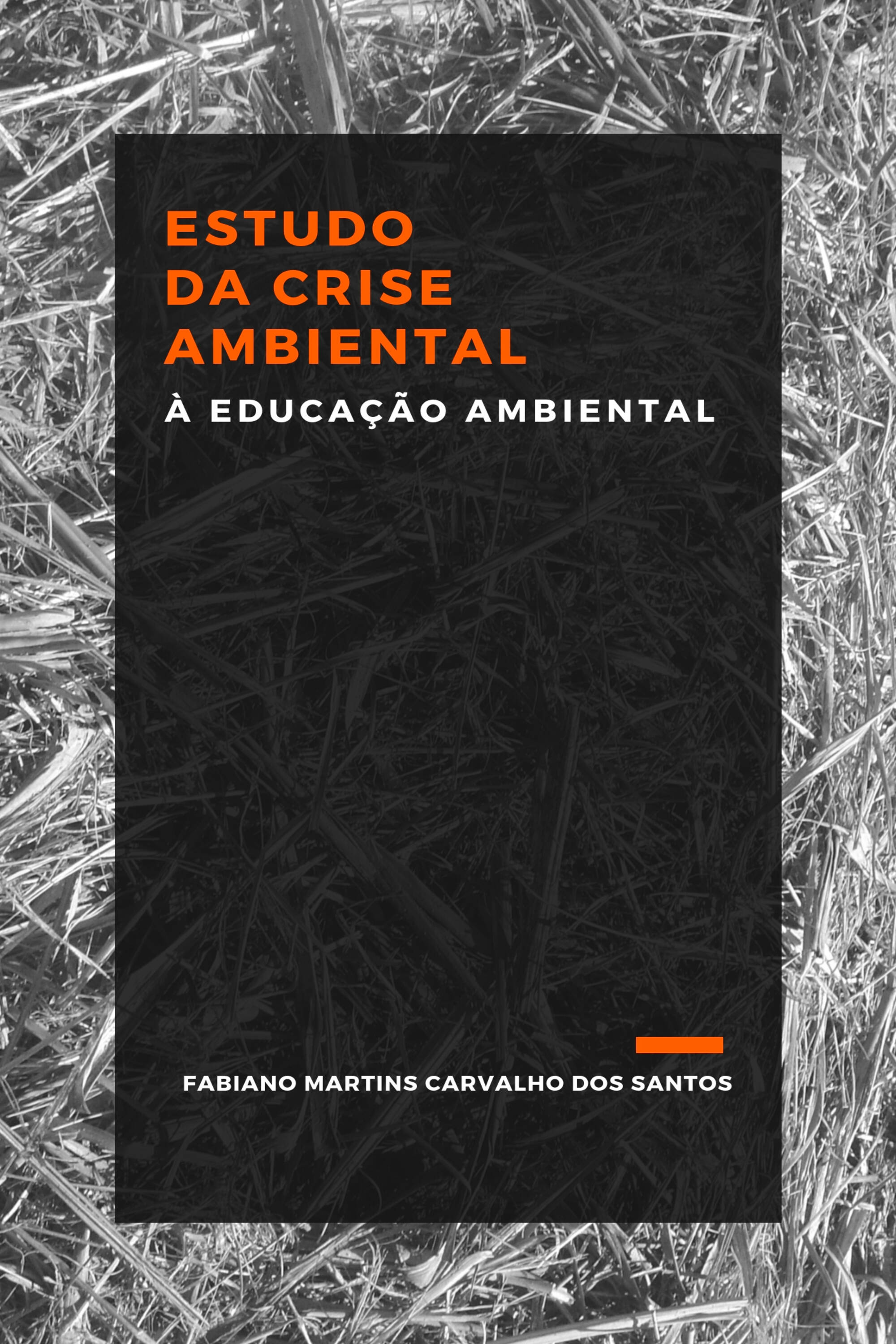 ESTUDO DA CRISE AMBIENTAL À EDUCAÇÃO AMBIENTAL