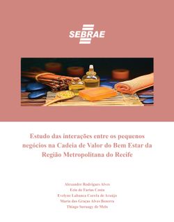 Estudo das interações entre os pequenos negócios na Cadeia de Valor do Bem Estar da Região Metropolitana do Recife