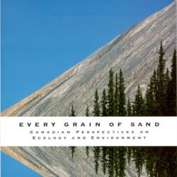 Every Grain of Sand